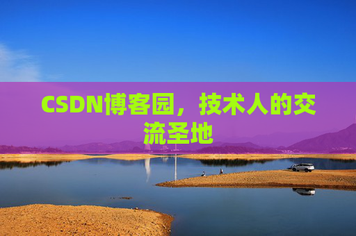CSDN博客园，技术人的交流圣地